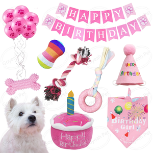 14 Pack Dog Birthday Toy Set Pet Chew Toys Squeaky Plush Dog Toy Puppy Birthday <b>Hat</b> Bandana - Product Image 2