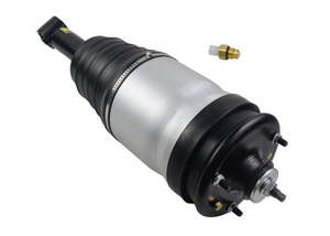 Bộ Giảm Xóc/Thanh Chống Khí Phía Sau Cho Land Rover LR3 LR4 & Range Rover Sport RPD501100/RPD501090 - Product Image 6