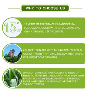 Порошок грибов рейши, экстракт Ganoderma Lucidum, красный, черный, пищевая оболочка, желтая, хранящаяся в сухом и прохладном месте, горькая - Product Image 4