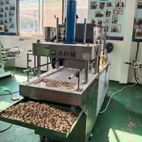 Presse à cubes automatique pour assaisonnement Maggie Bouillon de poulet Cube