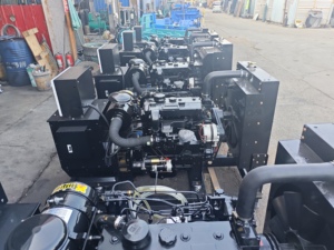 Generador Eléctrico Diésel Perkin de 4 Cilindros, 30KW, 37.5KVA, Alternador - Product Image 2