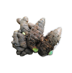 Kaempferia Parviflora天然ハーバルサプリメント<span class=keywords><strong>10</strong></span>:<span class=keywords><strong>1</strong></span>タイ黒ショウガエキスパウダー - Product Image 2