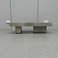 Table basse minimaliste en acier inoxydable, revêtement anti-traces de doigts, silhouette en bloc, fabrication sans joint, base double socle robuste