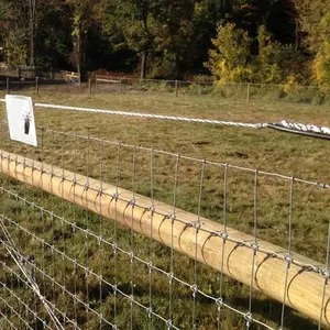 Clôture d'élevage clôture agricole fil de clôture électrique pour porc