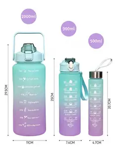 3Pcs Thiết Lập 2000Ml 900Ml 500Ml Gradient Chai Nước Bằng Nhựa Di Động Frosted Động Lực 2L Chai Nước Bằng Nhựa Bán Buôn