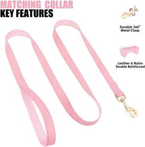 PET ARTIST Soft PU Hunde halsband & Leine Set für kleine Hunde-Stylish 5ft Pink, Schnell verschluss, Größe S (9-14 ") - Product Image 5