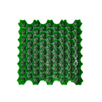 Filet de stationnement pour voiture en plastique pour l'esthétique Tapis de paddock Renforcement de l'herbe pour parking