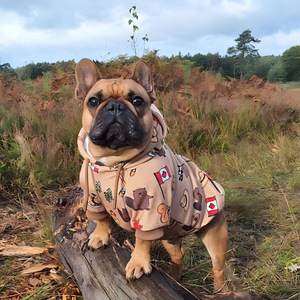 Set Coordinato Felpa con Cappuccio per Cani e Proprietari a Tema Bulldog Francese Invernale - Vendita all'Ingrosso - Product Image 5