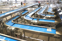 Hoogwaardige fruit- en groentewas-, droog- en sorteermachine, radijs sorteermachine, wortelsorteerlijn, zoete aardappel sorteermachine op maat