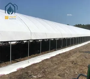 Endüstriyel ticari kenevir prefabrik sıcak daldırma galvanizli metal popup sera satış üretici yetiştirmek