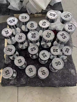 Haltères en fonte électrolytique, construction solide, 25 kg, 50 kg, poids libres pour hommes et femmes, entraînements des membres inférieurs, haltères de gym