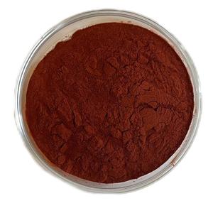 100% tự nhiên hữu cơ chiết xuất hạt nho bột <span class=keywords><strong>Vitis</strong></span> <span class=keywords><strong>vinifera</strong></span> L. 95% OPC proanthocyanidin nhà máy chiết xuất thể loại - Product Image 1