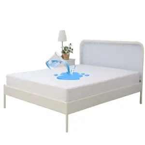 Queen-Size Anti-Bedbug Waterproof Terry Cotton Mattress Protector Antibacterial and Water Proof Bed Cover