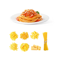 Nouvelle Machine à Spaghetti à Faible Consommation d'Énergie pour l'Industrie Alimentaire