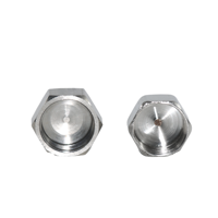 DKV 304 Capuchon hexagonal en acier inoxydable Filetage femelle ASME DIN JIS BS BSP Capuchon hexagonal fileté NPT 150 # Capuchon hexagonal fileté