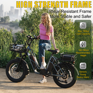 Vélo électrique 750W 48V 30Ah 400LBS à double batterie lithium longue portée pour adulte, expédition directe usine - Product Image 3