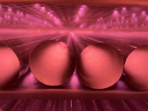 Machine de nettoyage au plasma 13,56 MHz, équipement de nettoyage au plasma pour l'activation et le nettoyage des surfaces, machine de nettoyage au plasma - Product Image 1