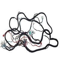 Factory Wholesale Universal Motorcycle Ultima Complete System Electrical Wiring Harness Cable