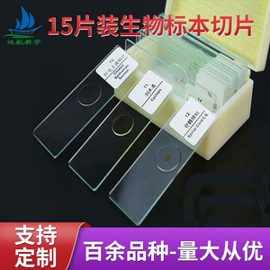 Experimental biological <b>microscope</b> specimen slides, 15 types of biological teaching materials, biological slide specimens - Product Image 5