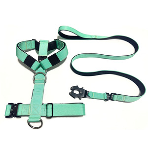 Collar y Correa de Adiestramiento para Perros Ajustables, Resistentes, con Hebilla de Metal y Acolchado de Neopreno Suave - Product Image 6