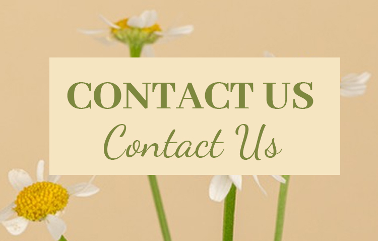 Dried Flower Cotton Colorful Private Label Fragrance Eternal Potpourri For Home Set Gift 25