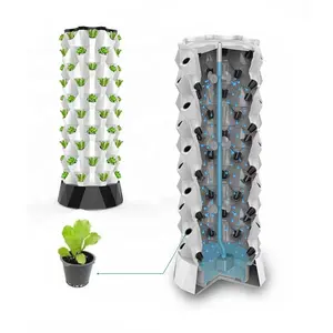 Phát triển thủy canh hệ thống aeroponic tháp dọc vườn cho rau trồng