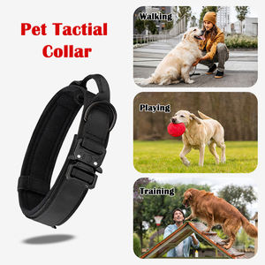 Collar Táctico para Perro con Hebilla a Prueba de Explosiones, Collar de Grado Profesional, Collar de Entrenamiento Táctico Listo para la Aventura - Product Image 5