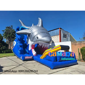 Tobogán Acuático Hinchable Exterior y Casa de Rebotes con Material de PVC a Precio de Fábrica para Uso Doméstico/Escolar Fiesta de Verano - Product Image 1