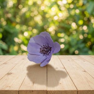 Vente en gros de fleurs décoratives en bois de Sola blanc de 5 cm, respectueuses de l'environnement, diffuseurs d'arômes pour la maison, plantes pour les mariages et les fêtes - Product Image 2
