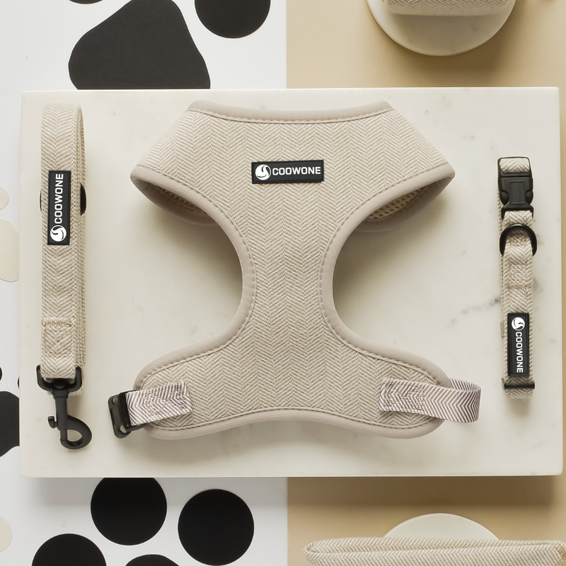 Luxury Dog Harness Set Pet Collar