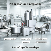 Friteuse à vide basse température REALDOT pour la production de chips de fruits et légumes, de fruits de mer et de snacks croustillants en usine de transformation alimentaire