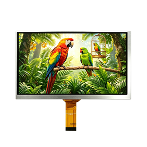 Mejor Módulo de Pantalla LCD TFT de 10.1 Pulgadas 1024x600 Mipi 30 pines 500cd/m2 de Brillo con Panel Táctil Resistivo Capacitivo Opcional - Product Image 4