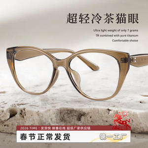 Montura de Gafas Danyang Cat Eye 81132 TR90 Ligera de Marco Completo para Mujer con Lentes de PC Marrones - Product Image 3