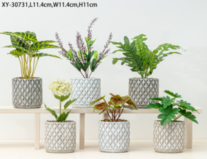 Macetas para Plantas Suculentas en Oferta, Macetas de Cemento Artificial para Plantas, Decoración Creativa de Escritorio con Plantas Suculentas - Product Image 2