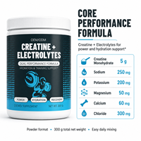 Poudre de supplément d'hydratation au citron et au citron vert pour adultes, 300g – Mélange d'électrolytes et de créatine monohydrate pour le soutien de l'entraînement – Usine ODM/OEM
