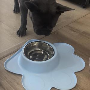 Ciotola a Forma di Zampa per Animali Domestici con Inserto in Acciaio Inox e Base Antiscivolo in Silicone per Cibo e Acqua di Cani e Gatti - Product Image 6