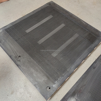Fabricant de diaphragmes en caoutchouc déshydraté, personnalise les diaphragmes en caoutchouc pour les plaques de filtre de presse à diaphragmes