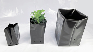 Manufacturer Direct Wholesale Thickened Plastic Growing <b>Bags</b> for Garden Tree Planting & Sapling Nursery - Product Image 3