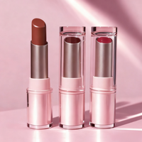 Cosmétiques pour les lèvres Rouge à lèvres solide Texture crémeuse Soyeuse et hydratante Convient au maquillage quotidien des filles