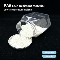 Granulés de nylon PA6 renforcés résistants aux basses températures -20°C ° Granulés de polyamide 6 modifiés par impact pour pièces automobiles