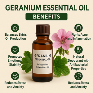 Geranium Essential <b>Oil</b> Pure Natural Floral Aromatherapy Grade Steam Distilled <b>Oil</b> for Skin Care Massage <b>Diffuser</b> Wellness Use - Product Image 2