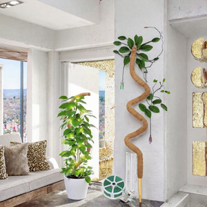 Paquete de 2 Varas de Musgo Flexibles de 48 Pulgadas para Plantas, Soporte para Monstera, Plantas Trepadoras, Estacas para Interiores y Exteriores - Product Image 2