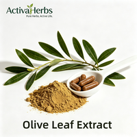 Extrait de feuille d'olivier naturel Olea europaea 10%-40% Oléuropéine 10%-30% Hydroxytyrosol
