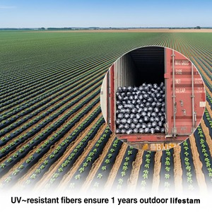 <span class=keywords><strong>Mulch</strong></span> phim phân hủy sinh học PLA cuộn 25 micron loại trong suốt cho sinh thái trang trại - Product Image 2