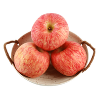 Verse Appelproducent levert 25kg doos Royal Gala Appels, gecertificeerde appels voor importeurs