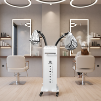 Steamer Rambut Profesional untuk Salon Kecantikan, Dua Pelanggan Menggunakan Sekaligus, Teknologi Atomisasi Ion Ozon Digital Otomatis Penuh