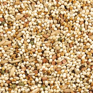 Mezcla de Alimentos Orgánicos <span class=keywords><strong>para</strong></span> Aves al por Mayor, Semillas con Alto Contenido de Proteínas <span class=keywords><strong>para</strong></span> Loros, Guacamayos, Cockatiels, Certificación GACC, Precio de Fábrica, Suministro a Granel, Alimento <span class=keywords><strong>para</strong></span> Mascotas - Product Image 3