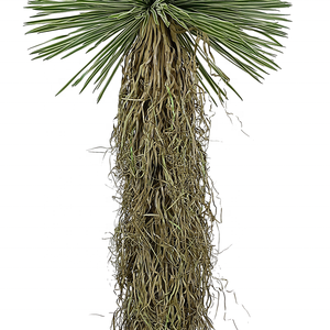 Oh Arts, superventas, 175cm de altura, árbol bonsái Artificial Oh Arts, plantas tropicales ornamentales de lujo modernas, <span class=keywords><strong>agave</strong></span> Artificial - Product Image 3