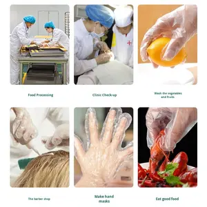 Одноразовые перчатки из экологически чистого материала TPET, индивидуально упакованные утолщенные перчатки из двух упаковок, с логотипом могут быть напечатаны - Product Image 5