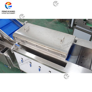 เครื่องลวกมะม่วงอุตสาหกรรม PT-1000 สำหรับการปรับสภาพด้วยน้ำร้อน - Product Image 5